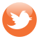 Clements Twitter account, Clements_Cov
